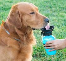 Ergonomická cestovní láhev pro psa s miskou