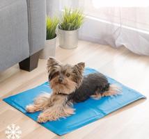 Ochlazující kobereček pro domácí zvířata 40x50 cm